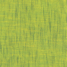 Load image into Gallery viewer, Handloom Yarn-Dyed Woven by Tara Faughnan from Windham Fabric, 54870-21 Green Acres