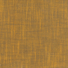 Load image into Gallery viewer, Handloom Yarn-Dyed Woven by Tara Faughnan from Windham Fabric, 54870-49 Penny