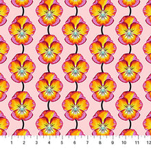 Load image into Gallery viewer, ICONIC Full Yard Bundle by Anna Maria Textiles