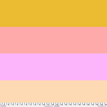 Load image into Gallery viewer, AM LOVES HUE Fat Quarter Bundle