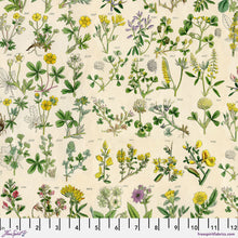Load image into Gallery viewer, Yellow - Tickets from Palette Yellow by Tim Holtz for Freespirit