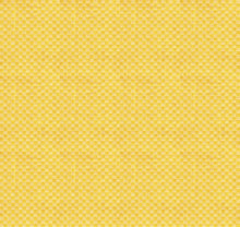 Load image into Gallery viewer, Promenade Quilt Kit featuring with Checkmates Collection by Anna Maria from Northcott