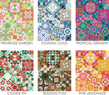 Load image into Gallery viewer, My Favorite Color Sampler Pattern