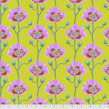 Load image into Gallery viewer, Bright Eyes Fat Quarter Bundle