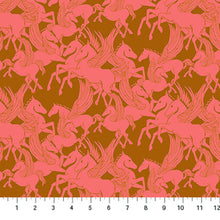 Load image into Gallery viewer, Pre-Order, SHOOTING STAR Fat Quarter Bundle by Anna Maria Textiles
