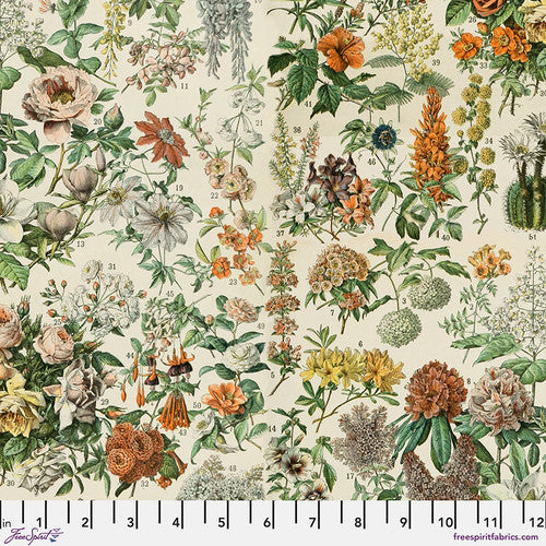 Pre-Order Orange - Botanical from Palette Orange by Tim Holtz for Freespirit