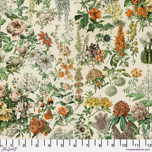 Botanical in Palette 108