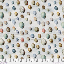 Load image into Gallery viewer, Eggs in Blue from Palette Blue by Tim Holtz for Freespirit, PWTH285.Blue
