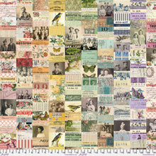 Load image into Gallery viewer, Pre-Order Collage in Multi from Palette Multi by Tim Holtz for Freespirit
