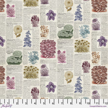 Load image into Gallery viewer, Pre-Order Botany in Multi from Palette Multi by Tim Holtz for Freespirit
