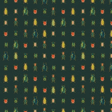 Load image into Gallery viewer, Pre-Order Curio Fat Quarter Bundle
