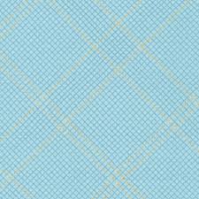 Tartan Single Border in Dusty Blue, AFRM-19932-68