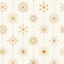 Load image into Gallery viewer, Snowflakes in Biscotti
