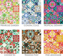 Load image into Gallery viewer, My Favorite Color Sampler Pattern
